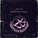 Steinblóm - Sunny Way (Original Mix)