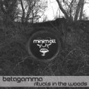 Betagamma - Magnetic Field Research