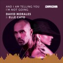 David Morales, Elle Cato - And I Am Telling You I\'m Not Going (Radio Edit)