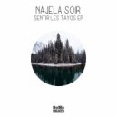 Najela Soir - Voyager Dans la Montagne (Original Mix)