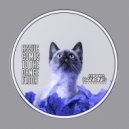 Assuc - Metamorphosis (Original Mix)