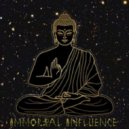 Immortal Influence - Transgression DJ mix (Live Mixes)