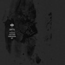 SNTS - Figures in the Mist