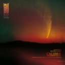 Calibre - Don't Want Your Love