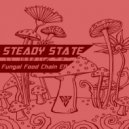 Steady State - Fungal Food Chain (Original Mix)