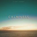 Ilian Ladov - Among the clouds ()