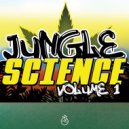FX909 - Lions