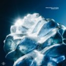 Fernandez, SIlvera - Singularity
