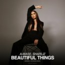 A-Mase, Sharliz - Beautiful Things
