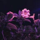 Rafael Cerato, Kinky Sound - Floralia