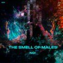 The Smell of Males - The Smell of Males - NO! (Original Mix)