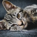 Jamie Lofi & Calming Music For Pets & Pets Total Relax - Stars Above ()