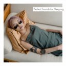 Perfect Sounds - Perfect Sounds for Sleeping, Pt. 16 ()