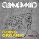 DimomiD - Going Organic (Vol. 1)