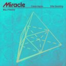 Calvin Harris & Ellie Goulding - Miracle