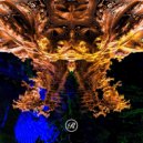 Samer Soltan - Euphoria