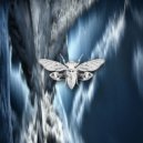 Acrobatik - Dark Matter