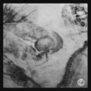 Beevrex - Dissociation (Original Mix)