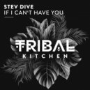 Stev Dive - If I Can't Have You