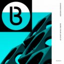 Hannes Bieger - Ashes
