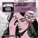 James Cole, Ledniczky - I m Sorry (Collective Machine Remix)