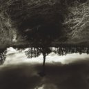deaflegend - Mystery Forest ()