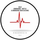 Selsi - Congruence (Beatless Mix)