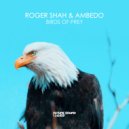 Roger Shah, Ambedo - Birds Of Prey (Extended Mix)