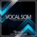 Ronny Santana - Vocal Som (Original Mix)