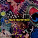 Jamantek - That\'s What You Need (Original Mix)