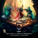 Two Faces, Critical Frequency (Live) - Consciousness Transformation (Original Mix)