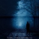 FLERK - EVILDOER\'S DREAM ()