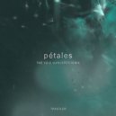 Trastler & The Void Wanderer - Pétales (Remix The Void Wanderer)