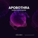 Apobothra - Dimensional Universe Within A 2-Dimensional Boundary