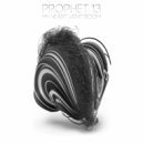 Prophet 13 - My Heart Went Boom (Original Mix)