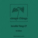 Baban - Invisible Things