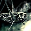 Firefly - Grasshopper ()