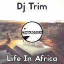 Dj Trim - Sky (Original Mix)