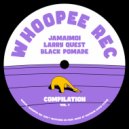 Larry Quest - Hold Function
