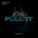 Aquila - Pull It (Radio Mix)