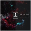 Tristan Dior - Leaving Wonderland (Keistep Remix)