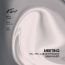 Gaba Kamer - Meeting (Skapi Remix)
