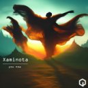 Xaminota - You Now (Original Mix)