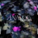 Mindyle - Analog Flowers ()