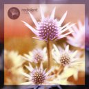 Maz (BR), Evokings - Amber (Original Mix)