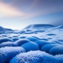 Boards of Canada - Frost ()