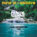 Fractal Gamma & Hetti House - Mind If I Groove (Alex Harrington Remix)