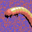 Firefly - Wireworm ()