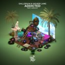 Dallerium, Higher Lane, madugo - Addicted (feat. madugo) (Original Mix)