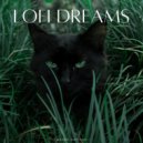 Somnoly Lofi Beats & Música tranquila para gatos & Música para Gatos Paz - La Zona De Frío ()